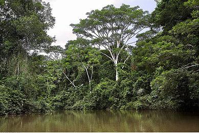 黑曜石奇幻RPG《宣誓》游戏截图泄露 来自旧开发版本